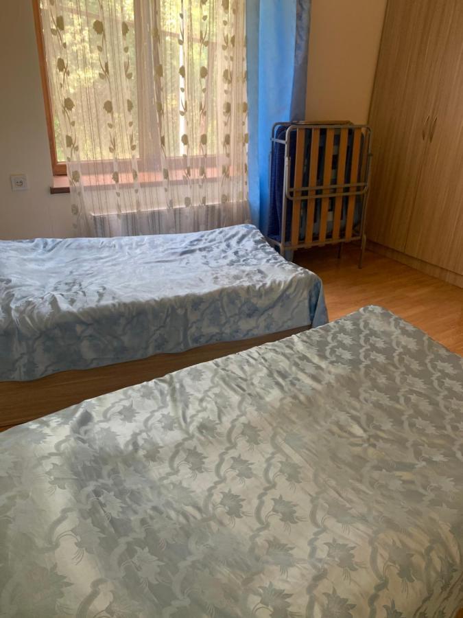 Artyomi Toon Apartment Dilijan Exterior photo